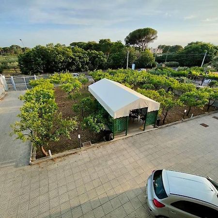 Appartamento Roccaforte Bi Rosso Trapani Bagian luar foto